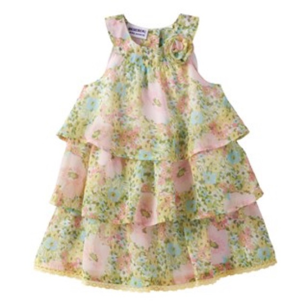 Baby Girl Blueberi Boulevard Floral Chiffon Dress